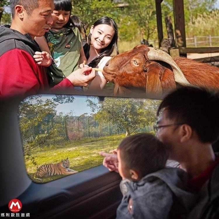 非洲探險島(瑪利歐)關西六福莊~全台唯一動物生態飯店『剛果藍天2~4人房住宿含早餐+晚餐+2日六福村票+館內活動』-細節圖9