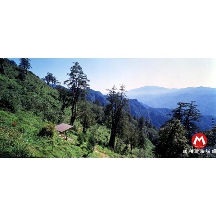 內有各房型加價表(瑪利歐遠離塵囂！送森林遊樂區門票)宜蘭-馬告生態公園-太平山【明池或棲蘭山莊雙人住宿~含2客早餐】-細節圖5