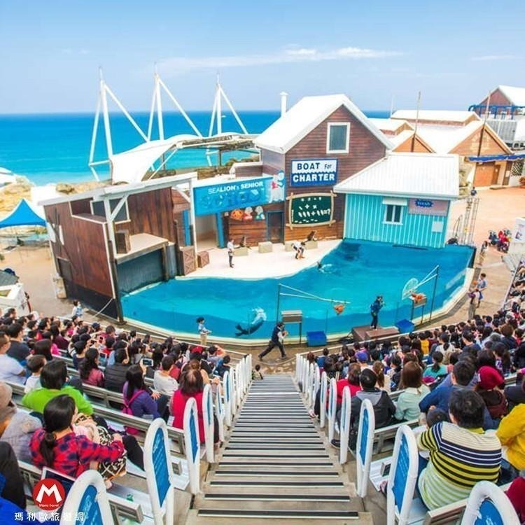 快速出貨!!(瑪利歐)花蓮~遠雄悅來(遠來)海洋公園【成人票~平假日一票到底門票】-細節圖8