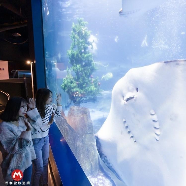 快速出貨!!(瑪利歐)花蓮~遠雄悅來(遠來)海洋公園【成人票~平假日一票到底門票】-細節圖9