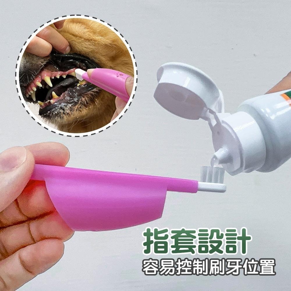 日本LION PETKISS寵物系列 犬貓通用 防咬護指牙刷-細節圖2