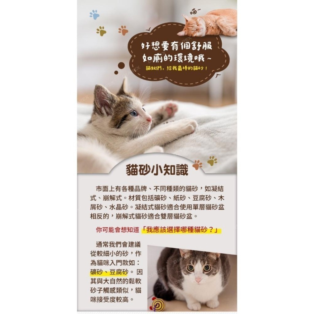 日本LION 除臭貓砂/礦砂 5L 箱購(無香款/花香款/植物香/強效除臭款)-細節圖2