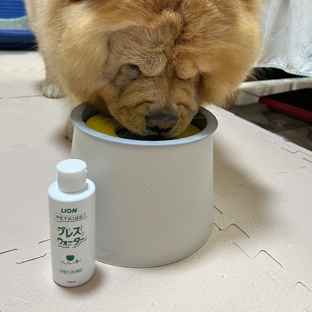 日本LION PETKISS寵物系列 犬用漱口水150ml (蘋果/薄荷)-細節圖3