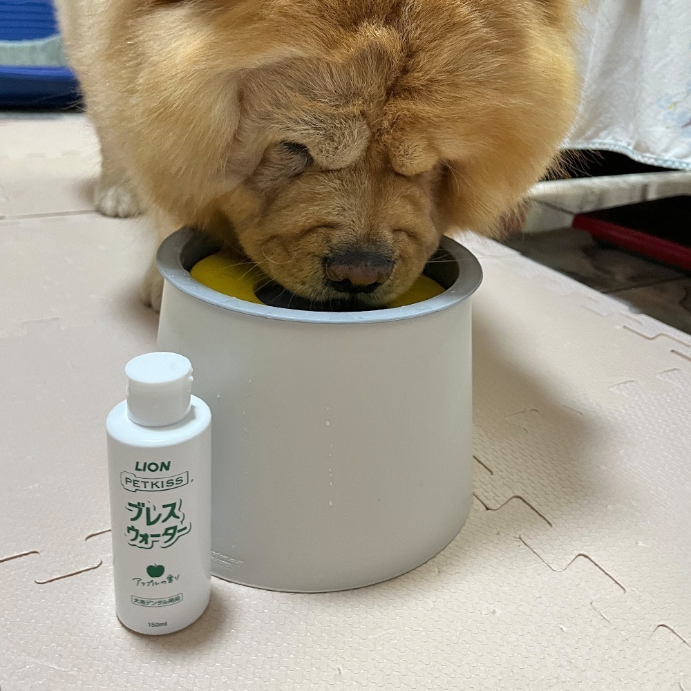 日本LION PETKISS寵物系列 犬用漱口水150ml (蘋果/薄荷)-細節圖3