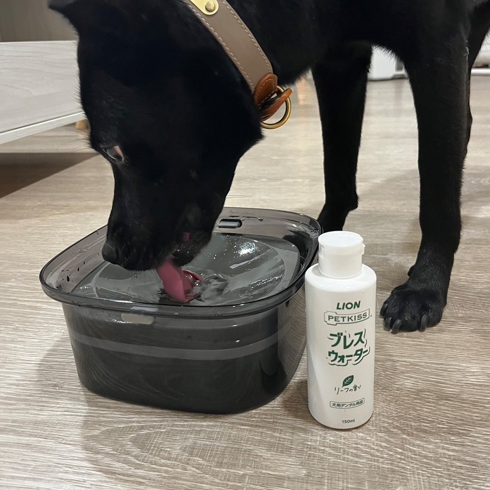 【福利即期品】日本LION寵物 PETKISS寵物系列 犬用漱口水150ml_薄荷 (有效期:2026.08.03)-細節圖2
