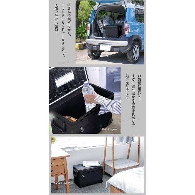 【Livewell】日製可肩背/手提拖輪式保冷冰桶27L(黑) 戶外露營野餐保冷箱 釣魚冰箱 烤肉冰桶 保冷行動冰箱-細節圖5