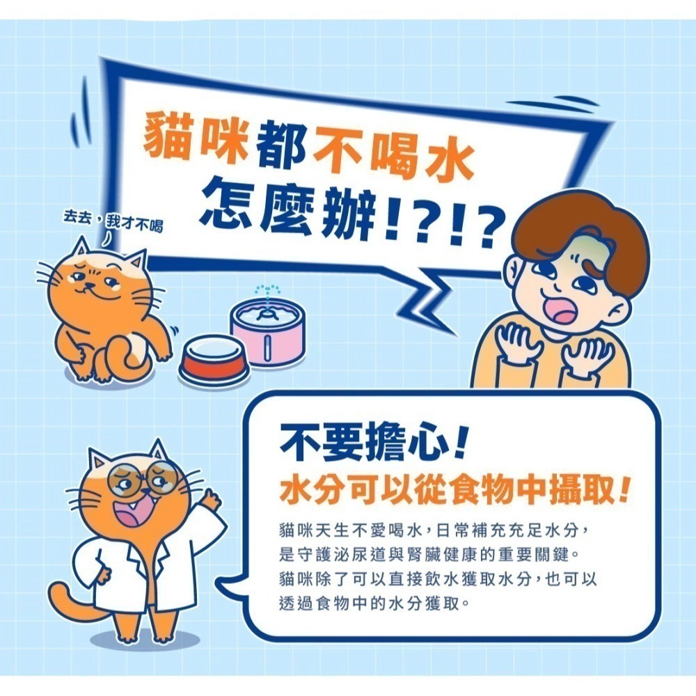 肉球世界｜補水炸彈 泥狀主食餐包 全齡貓 45g-細節圖3