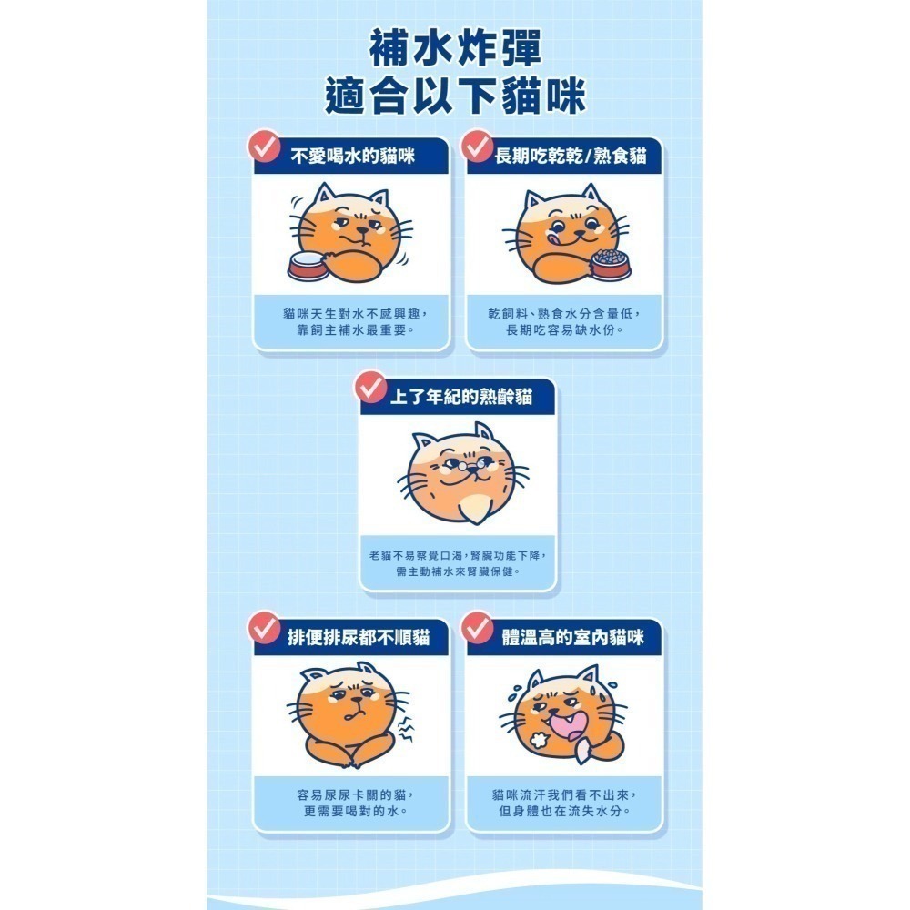 肉球世界｜補水炸彈 泥狀主食餐包 全齡貓 45g-細節圖4