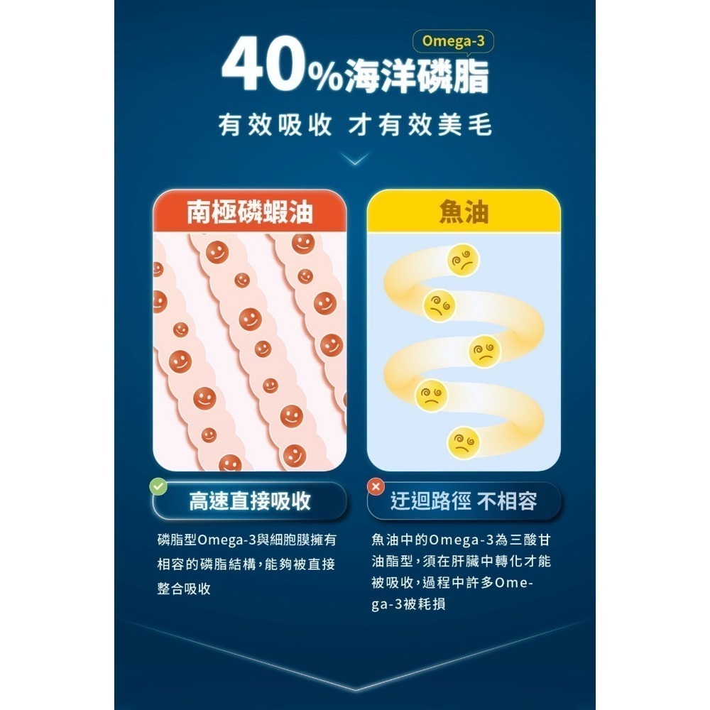 肉球世界｜南極磷蝦油 貓咪／狗狗   15ml／50ml-細節圖3