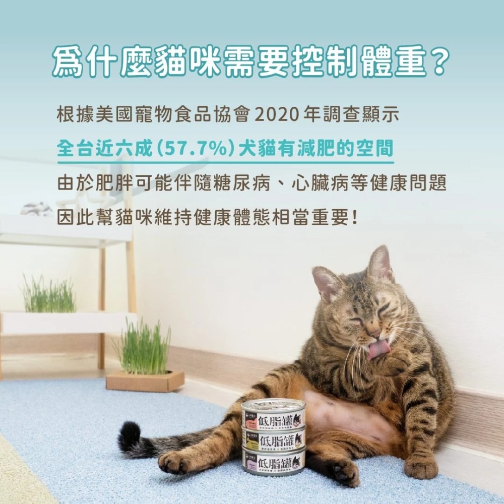 汪喵星球｜低脂無膠主食罐 80g-細節圖5