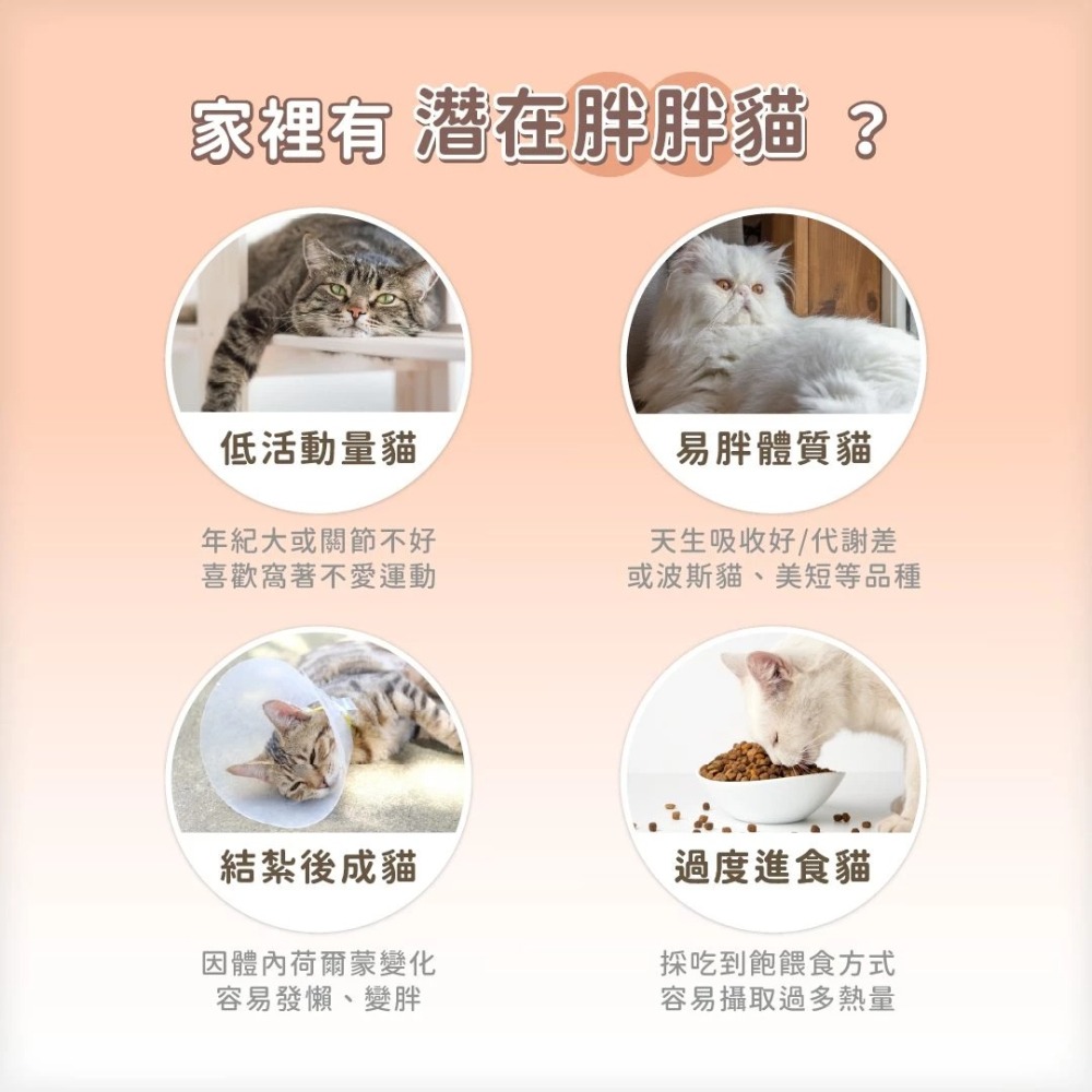 汪喵星球｜低脂無膠主食罐 80g-細節圖6