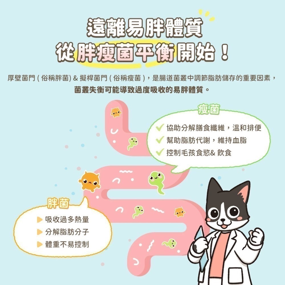 買一送一 汪喵星球｜體態管理益生菌 犬貓適用-細節圖4