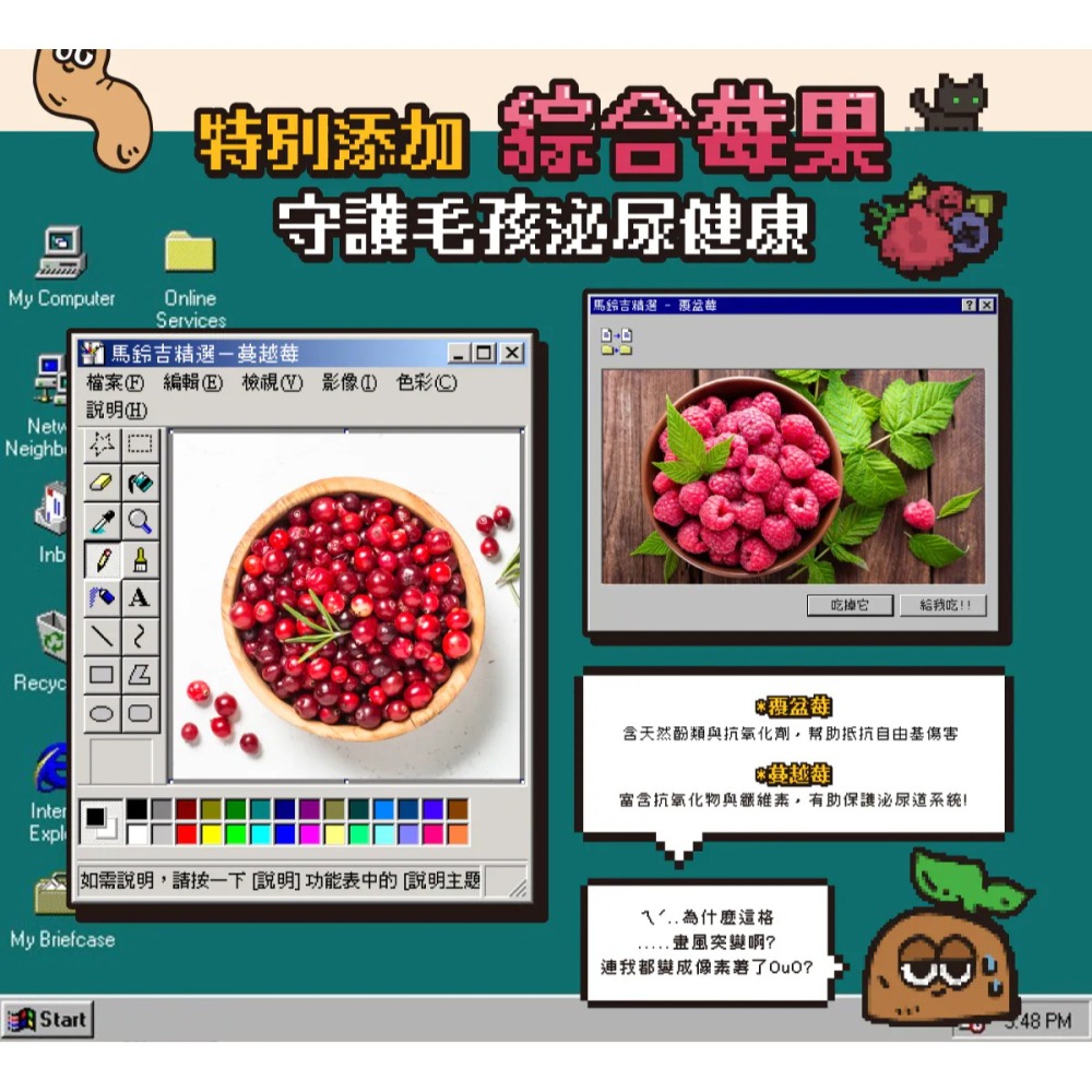 沙發馬鈴薯｜Lazy懶蟲無穀乾糧 麵包蟲雞肉 200g／1kg／2kg／6kg-細節圖9