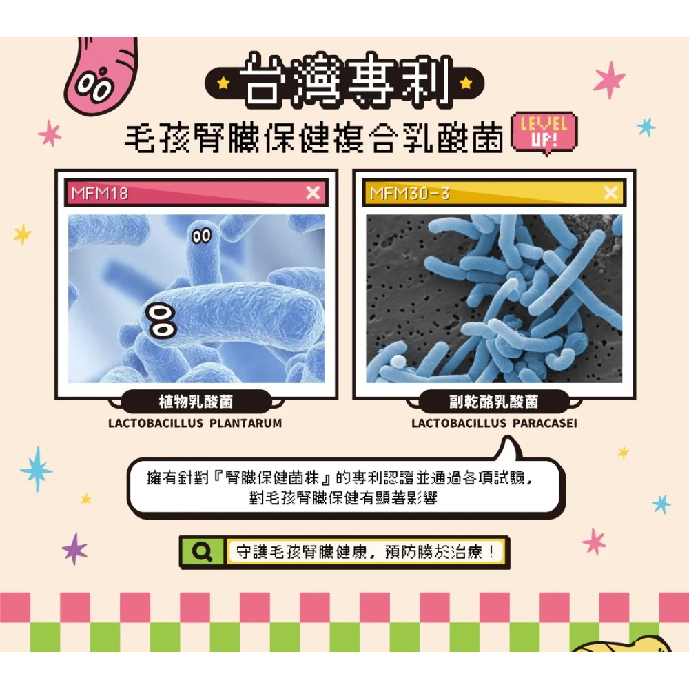 沙發馬鈴薯｜Lazy懶蟲無穀乾糧 麵包蟲雞肉 200g／1kg／2kg／6kg-細節圖10