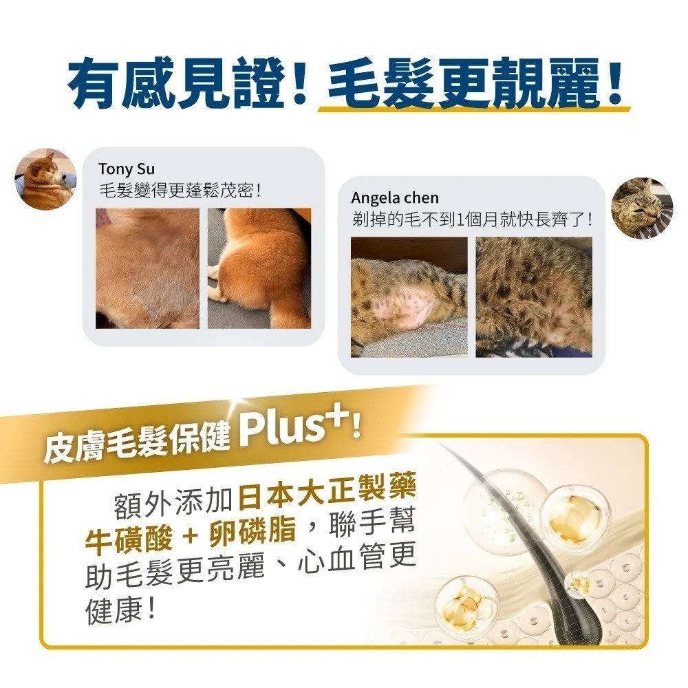 毛掌醫學｜德國KD純魚油 保健肉泥 雞肉口味 貓狗適用 體驗組／盒裝-細節圖6