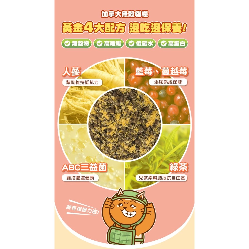 肉球世界｜搖搖鮭魚蛋黃無穀貓糧 全齡貓 1kg／2.5kg-細節圖7