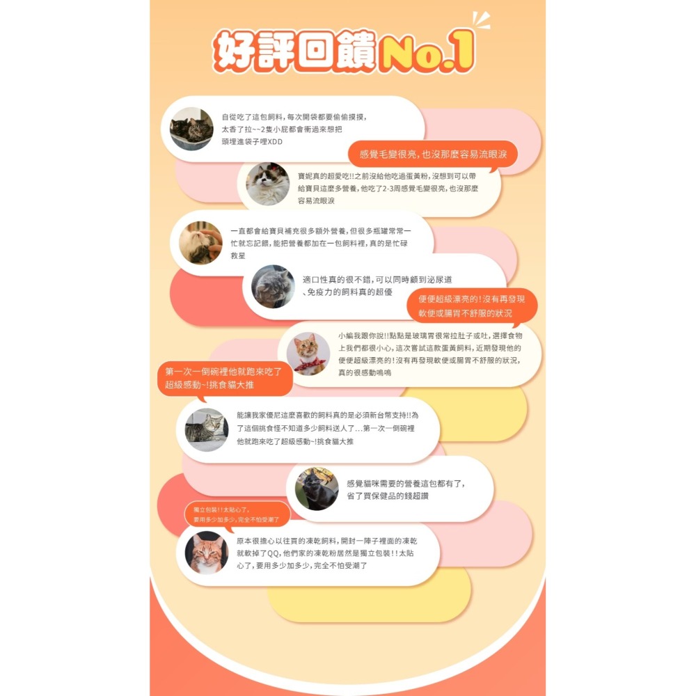 肉球世界｜搖搖鮭魚蛋黃無穀貓糧 全齡貓 1kg／2.5kg-細節圖11