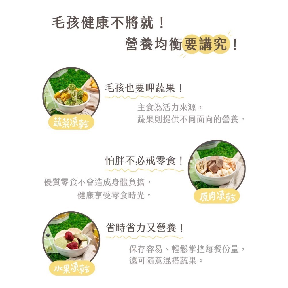 即期出清 咖啡獅｜犬貓鼠兔凍乾-細節圖3