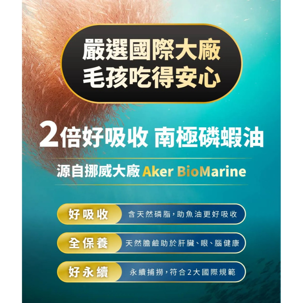 毛掌醫學｜磷蝦魚油 速餵壓瓶 爆毛神器 貓狗適用-細節圖9