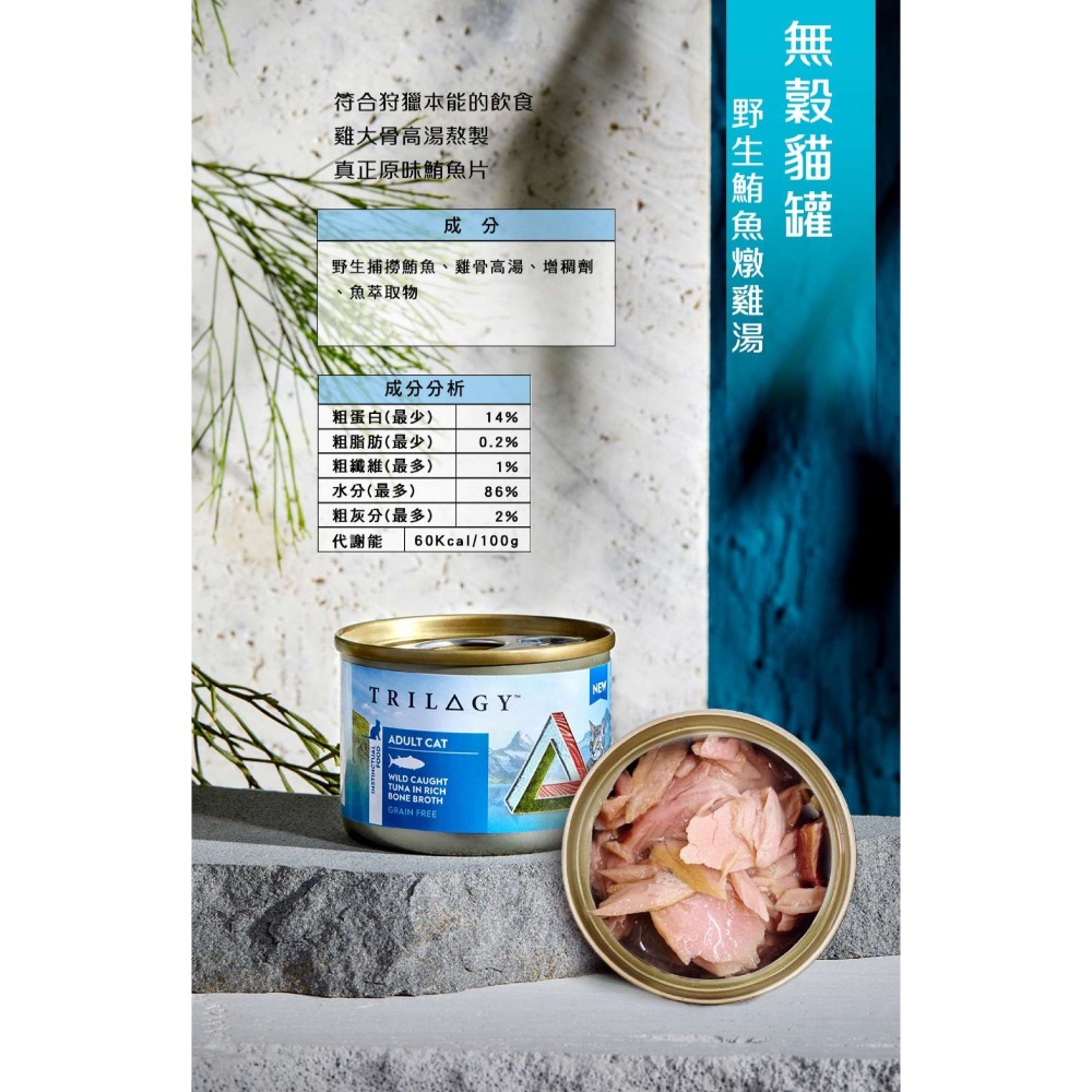 成貓｜野生鮪魚燉雞湯