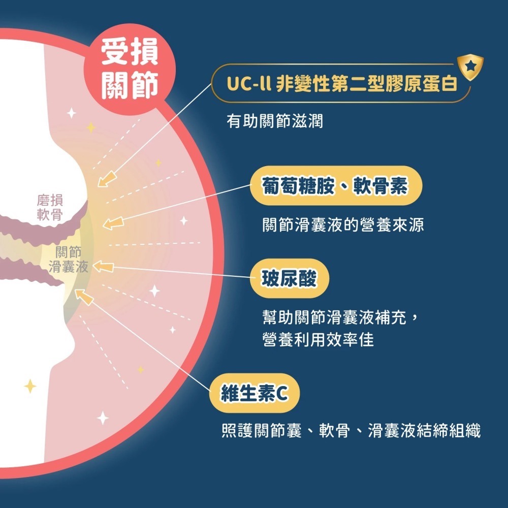 汪喵星球｜UCII 關節保養粉 （日常保養配方）-細節圖8