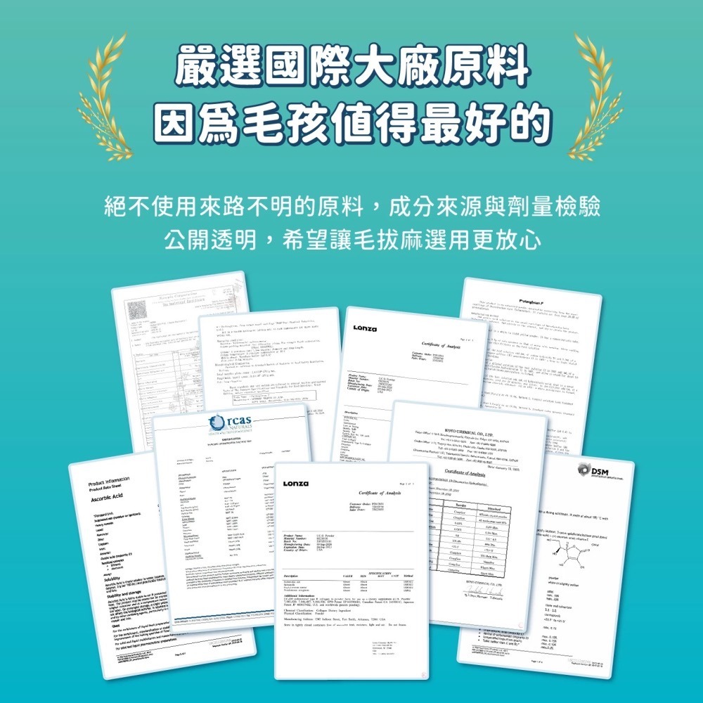 汪喵星球｜UCII 關節保養粉 （日常保養配方）-細節圖11