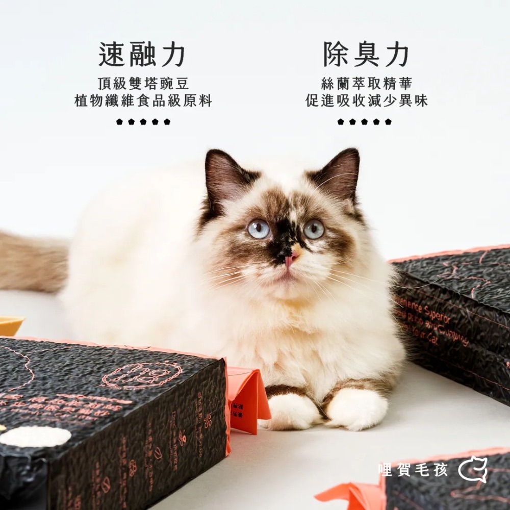 賀家｜99%凝結力除臭絲蘭豆腐砂 2.5kg｜一單限重3包-細節圖3