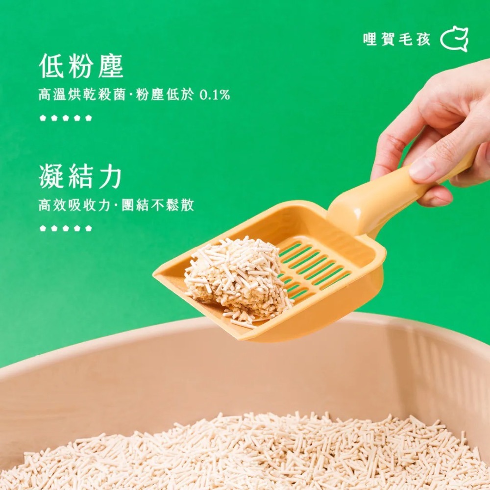 賀家｜99%凝結力除臭絲蘭豆腐砂 2.5kg｜一單限重3包-細節圖4