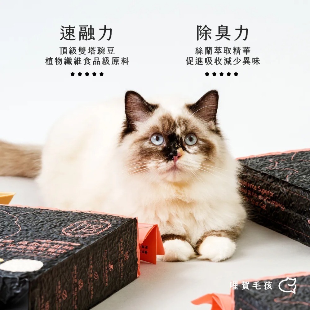 賀家｜99%凝結力除臭絲蘭豆腐砂 2.5kg｜一單限重3包-細節圖3