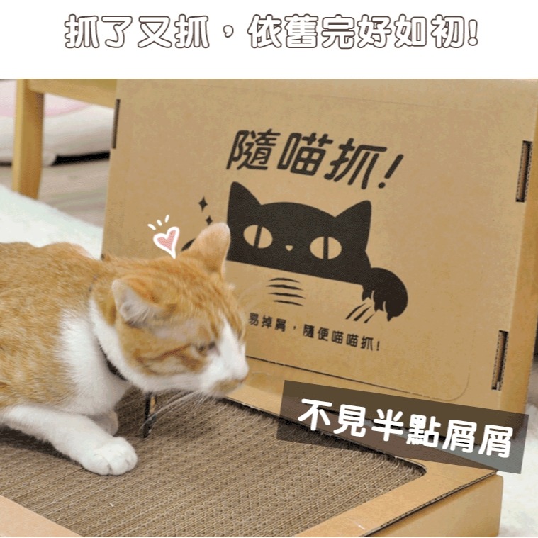 [喵皇帝] 貓樂園 ParkCat 隨喵抓 不易掉屑 機能性貓抓板 符合SGS安全檢測 台灣製-細節圖4