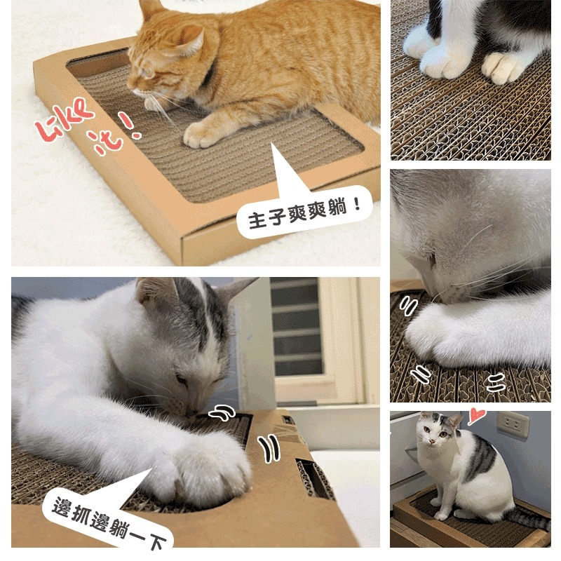 [喵皇帝] 貓樂園 ParkCat 隨喵抓 不易掉屑 機能性貓抓板 符合SGS安全檢測 台灣製-細節圖6