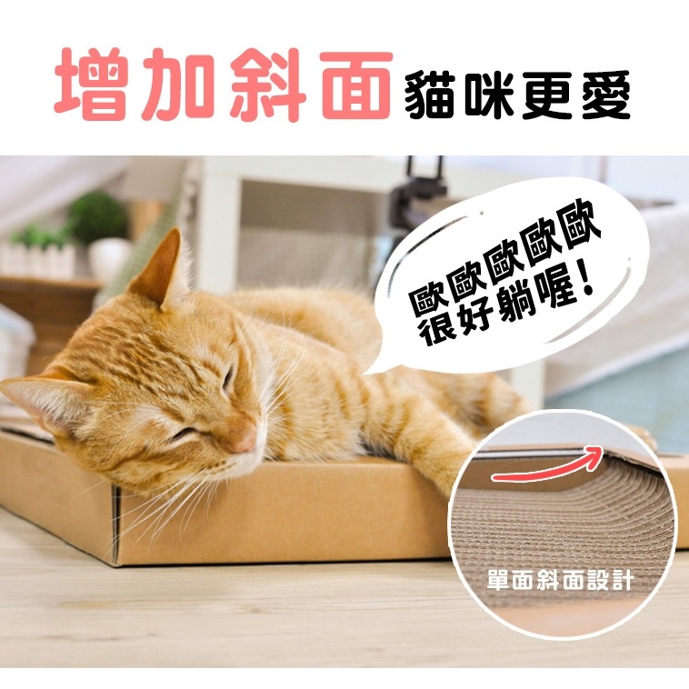 [喵皇帝] 貓樂園 ParkCat 隨喵抓 不易掉屑 機能性貓抓板 符合SGS安全檢測 台灣製-細節圖8
