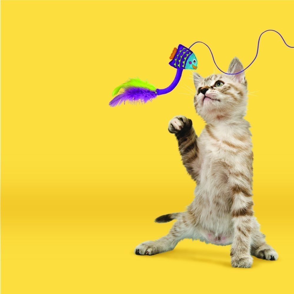 [喵皇帝] 美國KONG CTT411 CTT412 熱帶魚逗貓棒 紫/粉 貓玩具 貓薄荷 貓草玩具-細節圖2