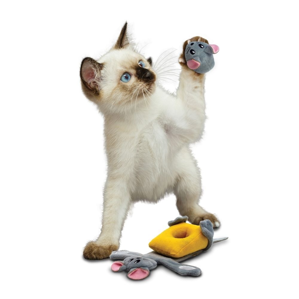 [喵皇帝] 美國KONG CPP4 三合一起司老鼠玩具 貓玩具 貓草玩具-細節圖2