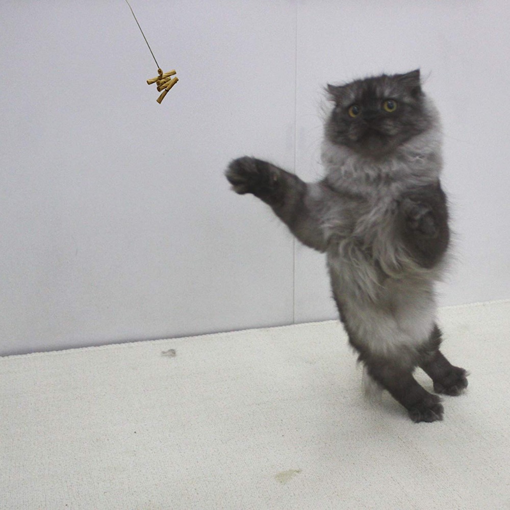 [喵皇帝] 正版美國Cat Dancer貓舞者互動貓玩具鋼絲逗貓棒-細節圖3