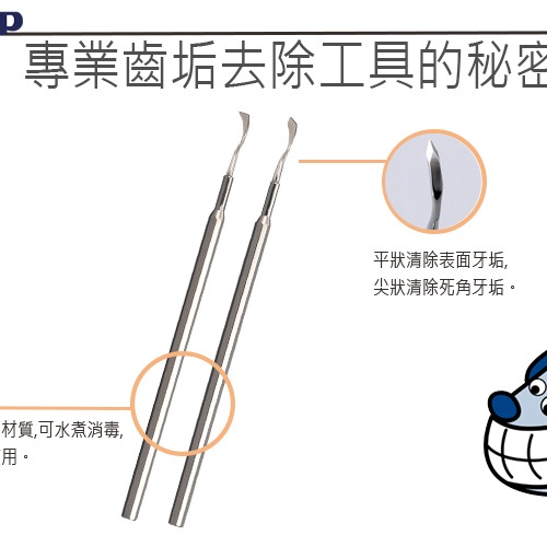 [喵皇帝] 日本MIND UP貓用專業牙結石去除工具-尖頭/平頭 全不鏽鋼 刷牙-細節圖4