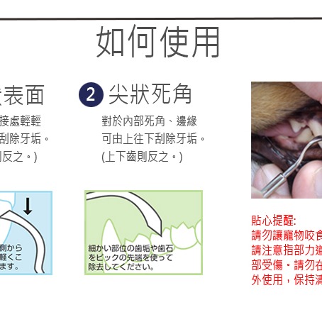 [喵皇帝] 日本MIND UP貓用專業牙結石去除工具-尖頭/平頭 全不鏽鋼 刷牙-細節圖5
