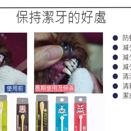[喵皇帝] 日本 Mind Up 貓用潔牙組合包 口腔清潔一次買齊 牙刷 牙膏 刷牙指套-細節圖9