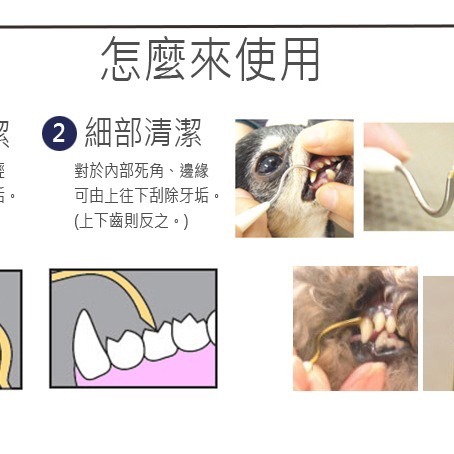 [喵皇帝] 日本Mind Up貓用牙垢去除工具 喵星清潔牙垢幫手-細節圖4