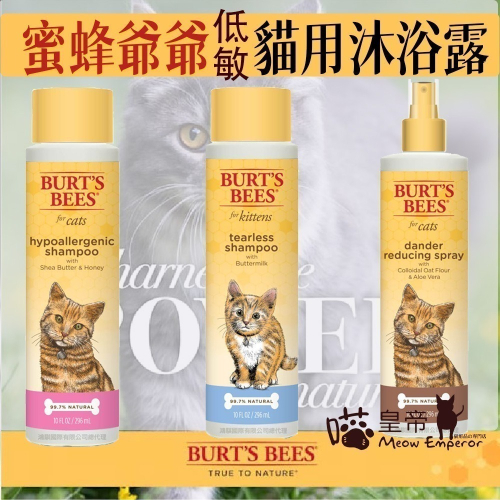 [喵皇帝] Burts Bees 伯特小蜜蜂爺爺 寵物 乳油木果蜂蜜牛奶沐浴露 貓用洗毛精 護毛素