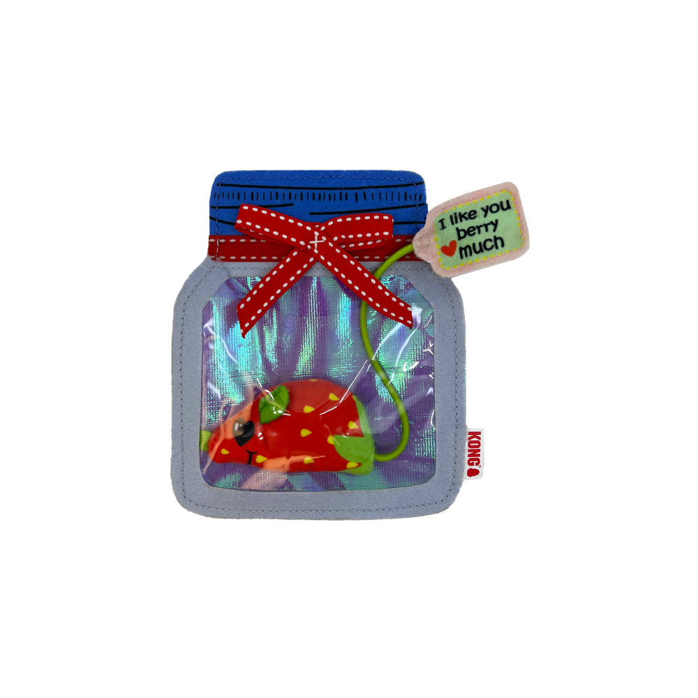 [喵皇帝] 美國 KONG CPP13 水果老鼠玩具 貓玩具 貓草 貓薄荷-細節圖2