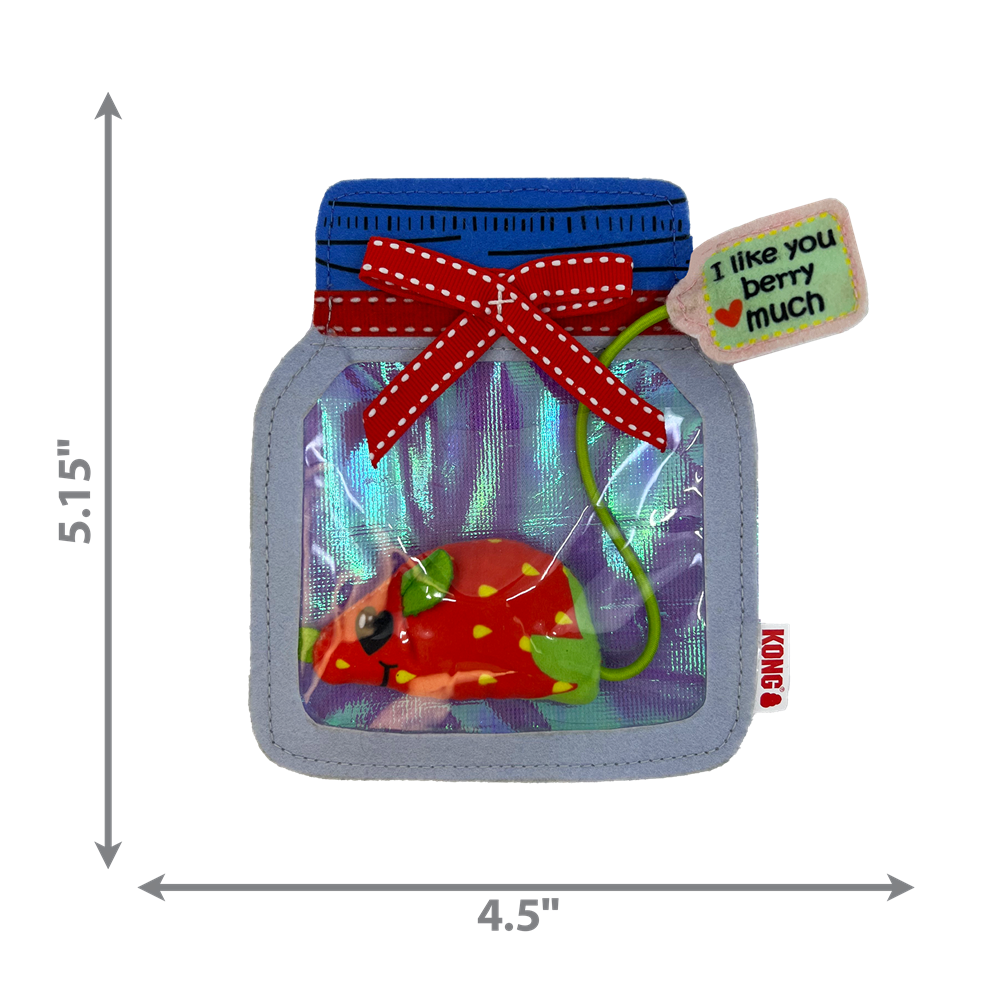 [喵皇帝] 美國 KONG CPP13 水果老鼠玩具 貓玩具 貓草 貓薄荷-細節圖5