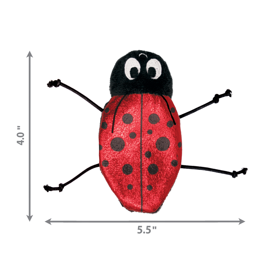 [喵皇帝] 美國 KONG NLB4 瓢蟲貓草玩具 貓玩具 貓薄荷 可重複填充-細節圖3