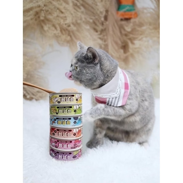 [喵皇帝] Catssay 貓有話說 貓用全方位機能主食罐 尋寶罐 80g-細節圖8