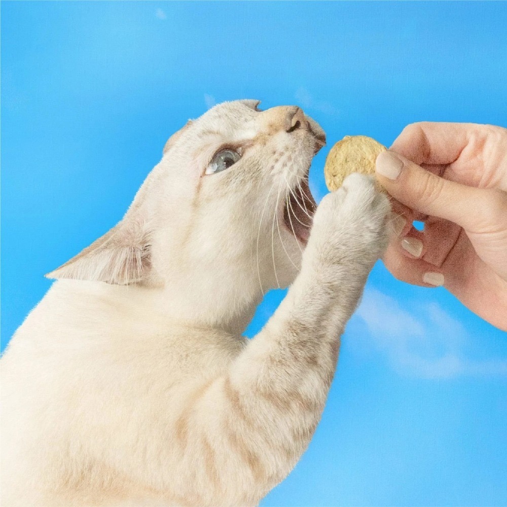 [喵皇帝] 怪獸部落 貓用｜冷凍乾燥主食｜開胃山海鮮肉餅 400g 150g 乾糧-細節圖3