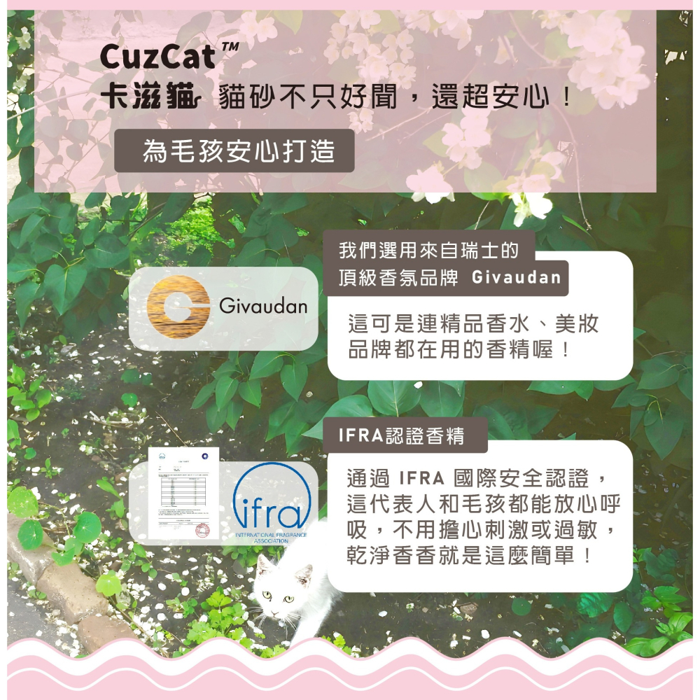 [喵皇帝] CuzCat卡滋貓 天然豆腐貓砂 (沸石除臭抗敏配方) 2.4kg 豆腐砂 豆腐沙-細節圖5