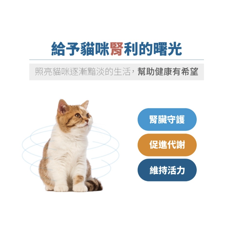 [喵皇帝] 木入森 貓咪保腎利 貓咪腎臟保健食品 30顆/60顆-細節圖7