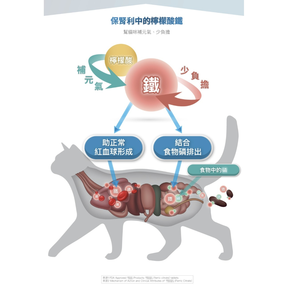 [喵皇帝] 木入森 貓咪保腎利 貓咪腎臟保健食品 30顆/60顆-細節圖11