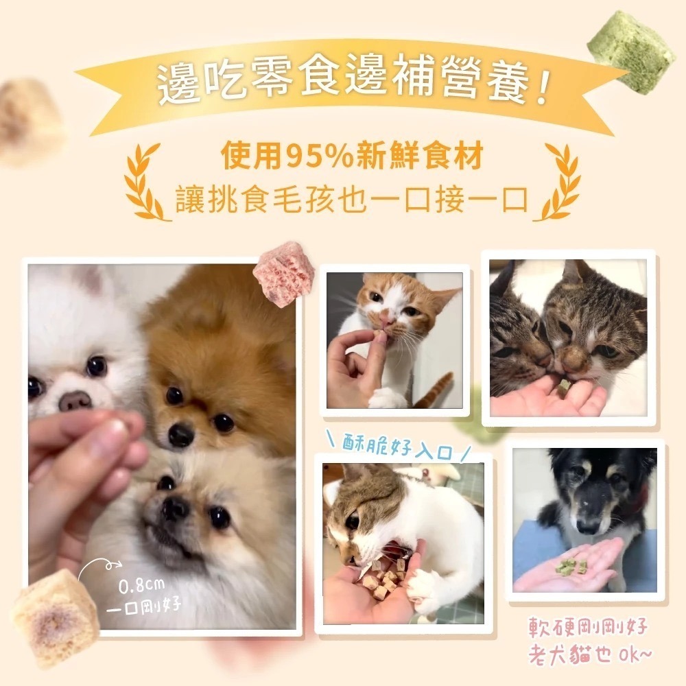 [喵皇帝] 汪喵星球 機能保健丁｜犬貓凍乾保健零食 20g 貓零食 犬貓適用-細節圖2