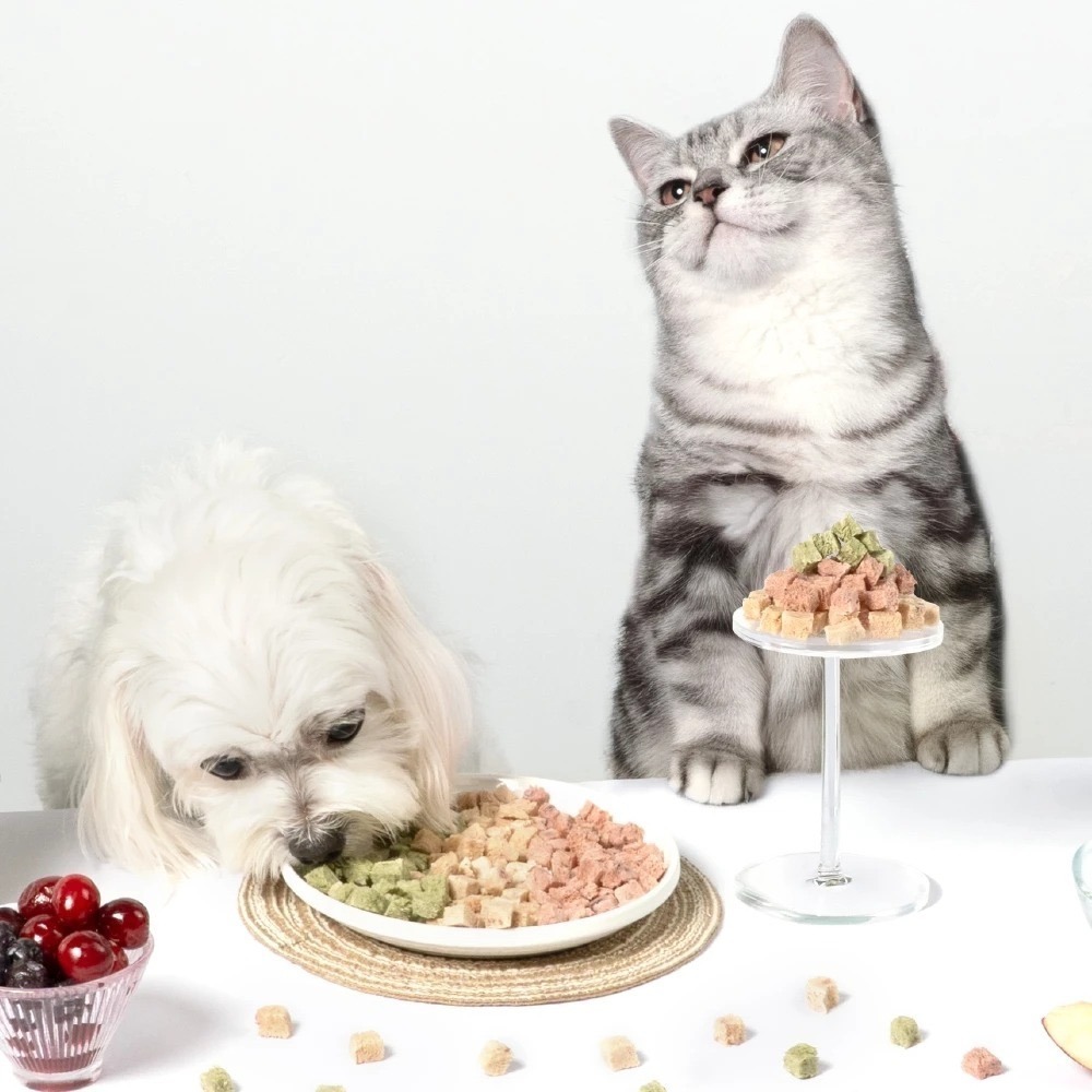 [喵皇帝] 汪喵星球 機能保健丁｜犬貓凍乾保健零食 20g 貓零食 犬貓適用-細節圖7